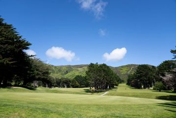 Golfing green at Karori Golf Club in Wellington