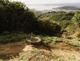A secton of the Ikigai trail in Waimapihi Reserve. The mountain bike track has a clay surface with wooden platforms and views of Wellington.