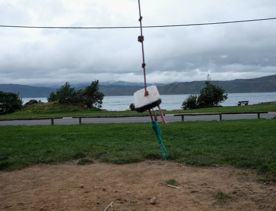 Worser Bay is a scenic inner-harbour beach popular with swimmers, dog walkers, and bridal couples. The large, sandy beach on the eastern side of Miramar Peninsula offers views of the Ororongorongo Range across the harbour, Steeple Rock, and Seatoun Beach.