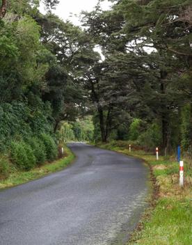 The rural Western Lake road, which connects the Remutaka Range to Lake Wairarapa, features lush green fields and mountains.