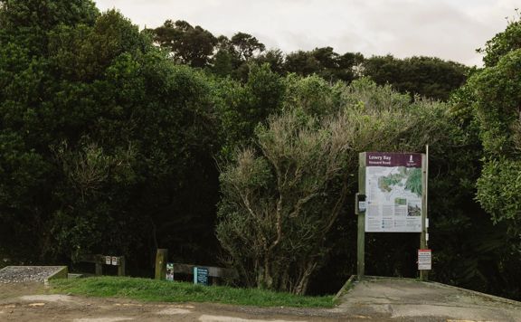 Howard Road trail, a walk through native bush with views of the Wellington Harbour.
