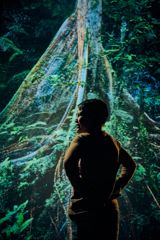 Breathe Mauri Ora an immersive exhibition at Te Papa