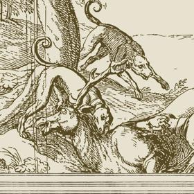 An illustration of dogs biting a horse in brown and grey ink.