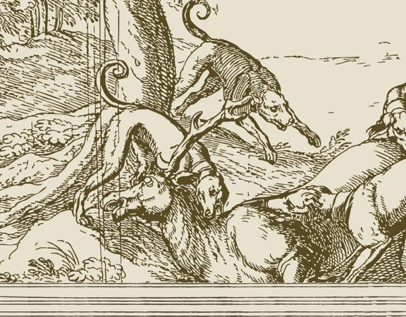 An illustration of dogs biting a horse in brown and grey ink.