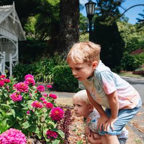 Two children crouch to look at a bumblebee perched on a pink flower bed at Wellington Botanic Gardens.