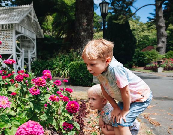 Two children crouch to look at a bumblebee perched on a pink flower bed at Wellington Botanic Gardens.