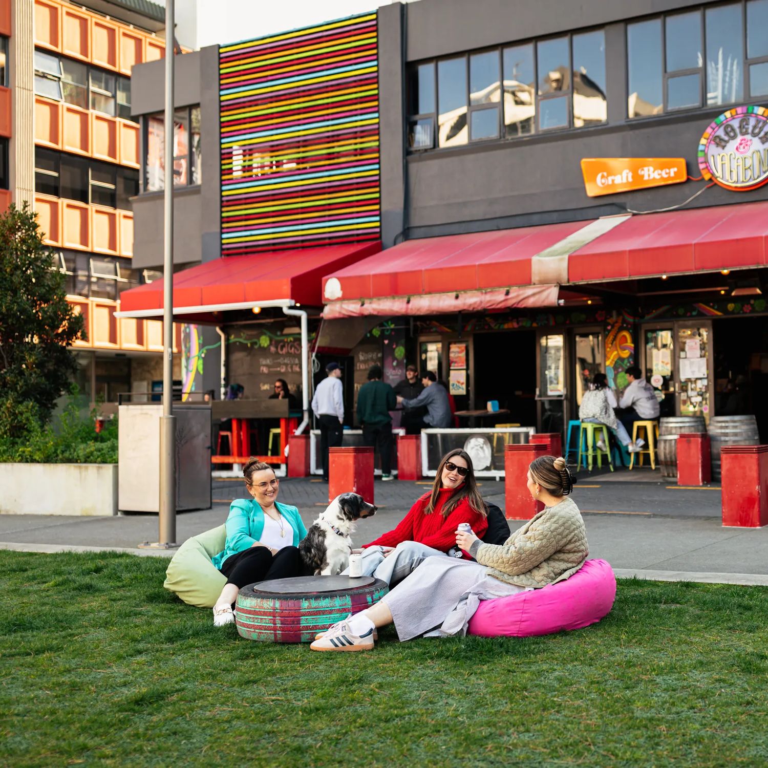 Three friends and a dog sit on bean bag chairs on the grass outside of Rogue and Vagabond.