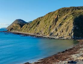 A quaint seaside village at the base of dramatic cliffs, Mākara is just 30 minutes from Wellington’s city centre. On its rugged western coast is a seaside village and a gently sloping, stony beach.