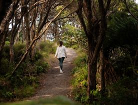 A person walking up the Bus Barn Track in East Harbour Regional Park.
