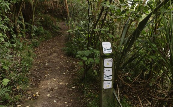 Wooden signpost for the Repeat Offender mountain bike track with directional signs for Jail Brake, Nevay Road and Miramar North Road.