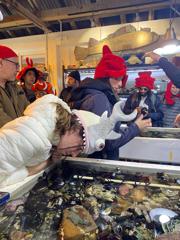 People with Crab and Shark hats looking into aquarium tanks with starfish and other crustacean.