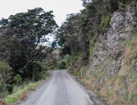 The Kiriwhakapapa Road Tararua Forest Park screen location, featuring walking trails and campsite opportunities in wild, natural landscapes.