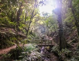 The Percy Scenic Reserve, features walking tracks, lawns, native bushes, gardens, and a large waterfall.