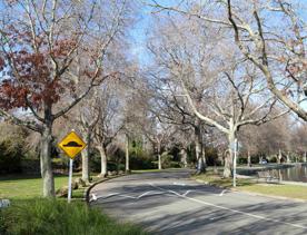 The screen locations for Masterton, Wairarapa. Named best small town in 2017, it features gardens, historic buildings, modern buildings, suburban areas, bridges, and streams.