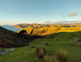 The screen location of West Wind Farm and Mākara Bunker at sunset, with 360 views of Wellington and the wind farm, as well as the historic fort Opau.