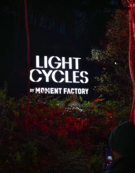Light Cycles, an illuminating outdoor experience from Moment Factory, at Wellington Botanic Garden ki Paekākā. 
