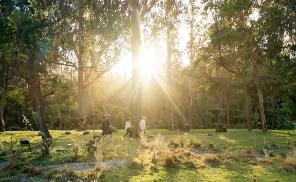 Four people walking on Tane's Track, in an open bush area with sun coming through the trees