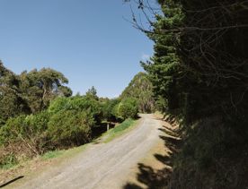 A section of dirt road on the Farm Road in Ngā Ara o Rangituhi, Porirua.
