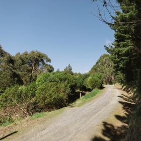 A section of dirt road on the Farm Road in Ngā Ara o Rangituhi, Porirua.