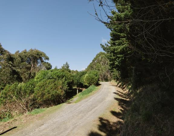 A section of dirt road on the Farm Road in Ngā Ara o Rangituhi, Porirua.