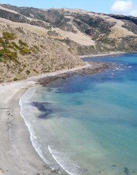 A secluded, sheltered beach located on private farmland. Pikarere Beach is a hidden inlet off Open Bay, just 5 kilometres from Porirua’s city centre.