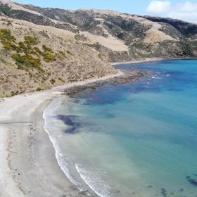 A secluded, sheltered beach located on private farmland. Pikarere Beach is a hidden inlet off Open Bay, just 5 kilometres from Porirua’s city centre.