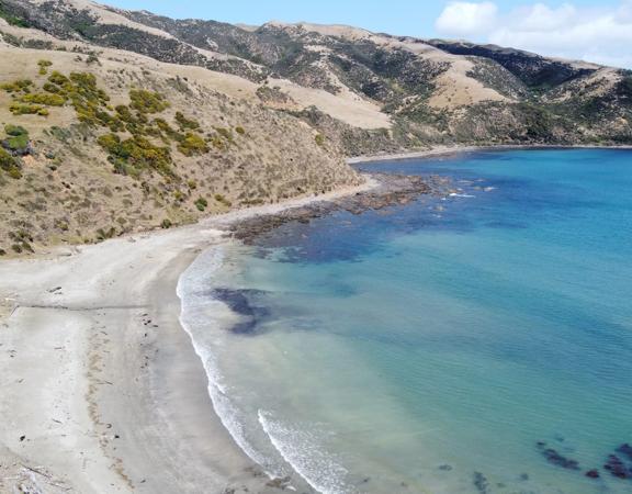 A secluded, sheltered beach located on private farmland. Pikarere Beach is a hidden inlet off Open Bay, just 5 kilometres from Porirua’s city centre.