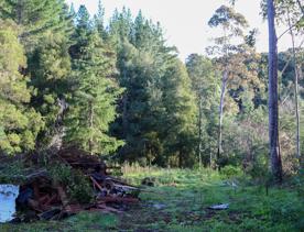 Mangaroa Valley Road screen location, a scenic rural setting with native forest, farmland, and a mountainous backdrop.