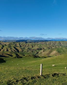 A short drive from the city is a stunning venue. Perched on a rugged coastline, it has sweeping views over the Cook Strait and the South Island.