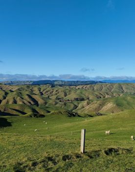 A short drive from the city is a stunning venue. Perched on a rugged coastline, it has sweeping views over the Cook Strait and the South Island.
