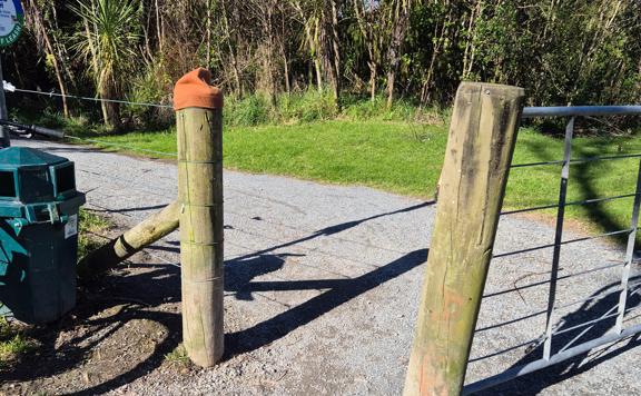 Entry gate at Otaihanga Domain.