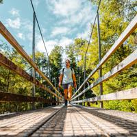 Person walking across a bridge through bush on the Ōrongorongo Track and Valley, Remutaka Forest Park, Wainuiomata.