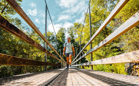 Person walking across a bridge through bush on the Ōrongorongo Track and Valley, Remutaka Forest Park, Wainuiomata.