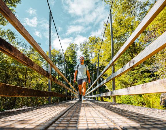 Person walking across a bridge through bush on the Ōrongorongo Track and Valley, Remutaka Forest Park, Wainuiomata.
