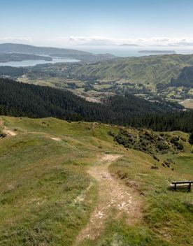 A scenic view from a grassy peak on the Puketiro Loop hiking trail at Batlle Hill Farm.