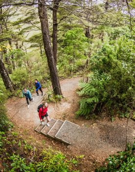 3 people walking along a track looking at the native trees on the Kowhai Street Track to Butterfly Creek.