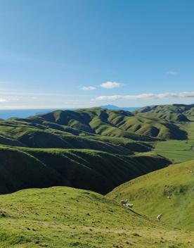 A short drive from the city is a stunning venue. Perched on a rugged coastline, it has sweeping views over the Cook Strait and the South Island.