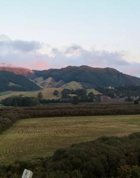 Corrugated iron sheds sit among the grassland of Wallaceville Farmland.