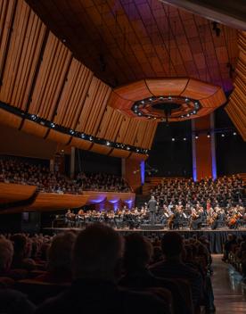 Orchestra Wellington perform on stage at Michael Fowler Centre.