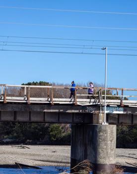 Ava railway bridge crossing over Hutt River