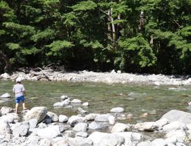 A child stands on rocks by the Te Whakatūrākau Stream on the Donnelly flat loop walk.