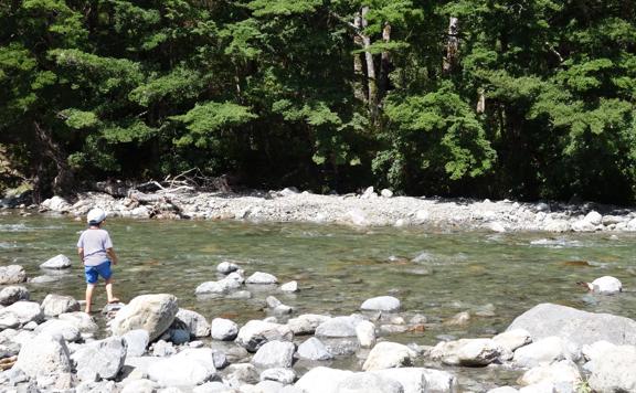 A child stands on rocks by the Te Whakatūrākau Stream on the Donnelly flat loop walk.