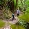 An adult walks with a child riding a tricycle along a nature trail.