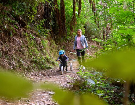 An adult walks with a child riding a tricycle along a nature trail.