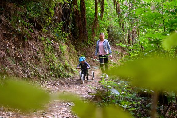 An adult walks with a child riding a tricycle along a nature trail.