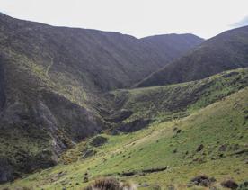 Long Gully Bush Reserve comprises 107 hectares of regenerating forest. It sits roughly 5 kilometres southwest of Wellington City, surrounded by the suburbs of Karori and Brooklyn.