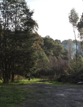 Mangaroa Valley Road screen location, a scenic rural setting with native forest, farmland, and a mountainous backdrop.