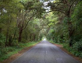 Ōtaki Gorge Road runs parallel to Ōtaki River in the Kāpiti Coast District of New Zealand’s North Island.