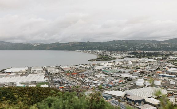 Howard Road trail, a walk through native bush with views of the Wellington Harbour.