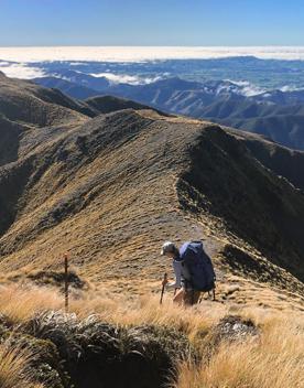 A hiker wearing a baseball hat and a large backpack uses walking sticks to descend the grassy slope from Mount Holdsworth on the Jumbo Circuit.